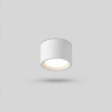Nordischer Zylinder-Spot LED Deckenleuchte