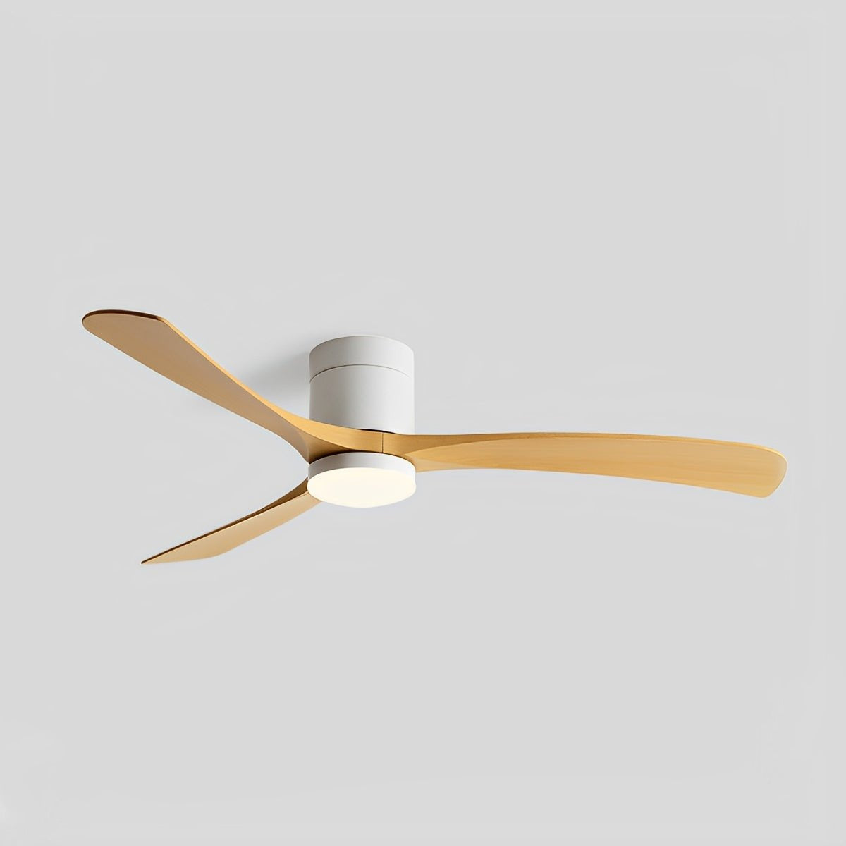 Minimalist Ceiling Fan Light for Living Room